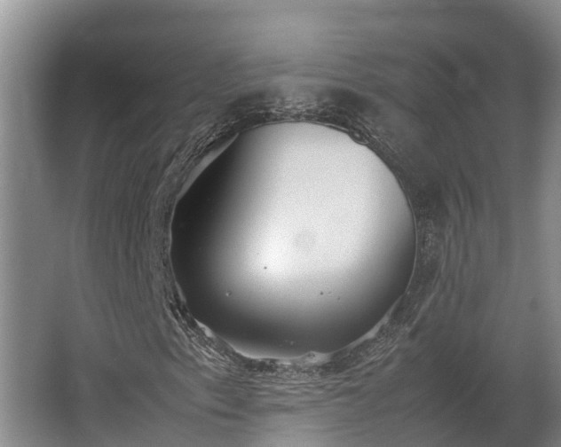 X0000064041153200602031550