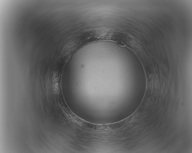 X0000064041154200602031550