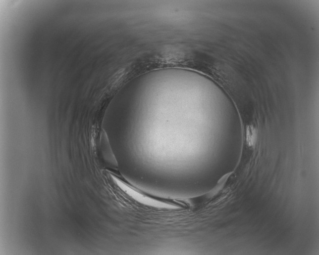 X0000064041155200602031550