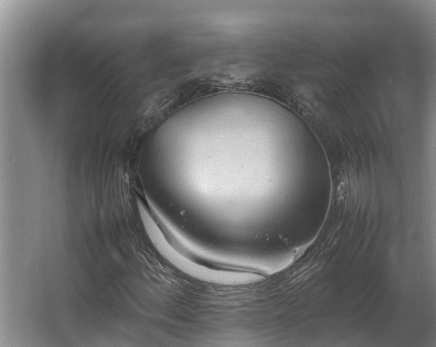 X0000064041156200602031550