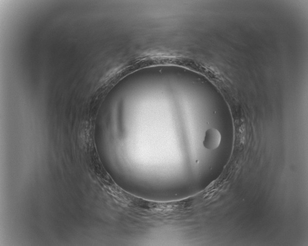 X0000064041157200602031550