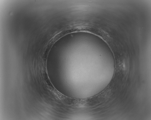 X0000064041158200602031550