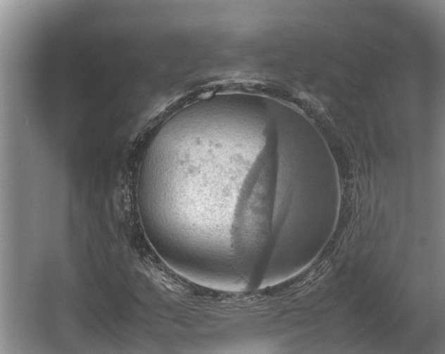 X0000064041159200602031550