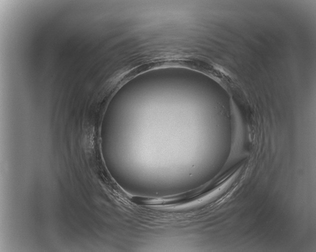 X0000064041161200602031550