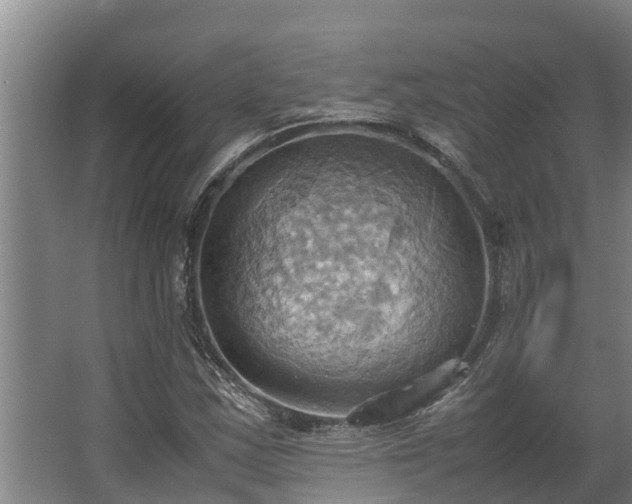 X0000064041163200602031550