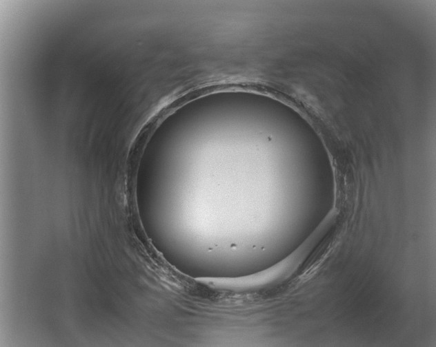 X0000064041165200602031550