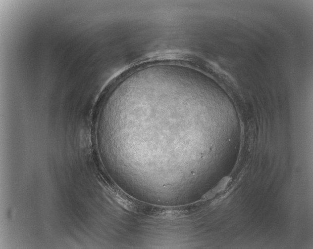 X0000064041166200602031550