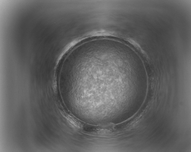 X0000064041167200602031550