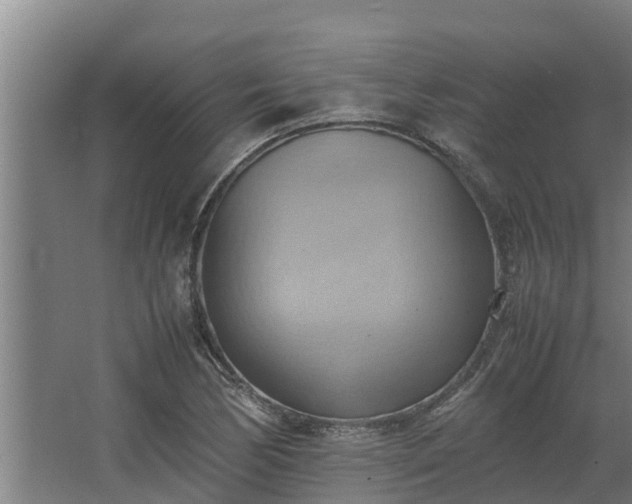 X0000064041170200602031550