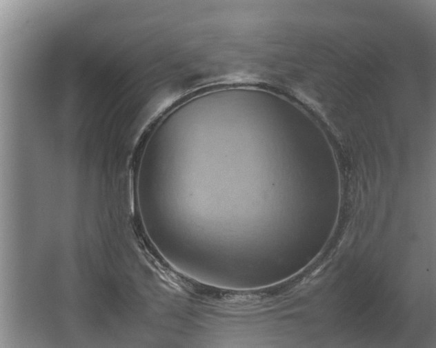 X0000064041171200602031550