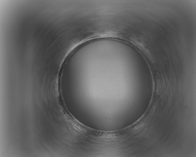 X0000064041174200602031550