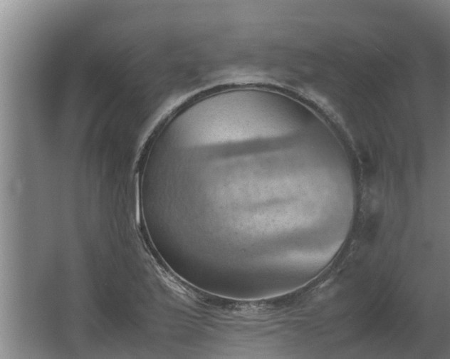 X0000064041175200602031550