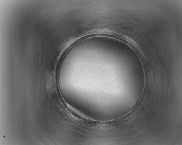 X0000064041176200602031550