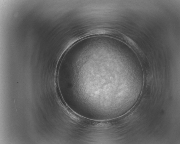 X0000064041178200602031550