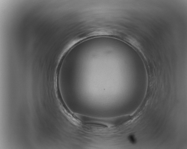 X0000064041179200602031550