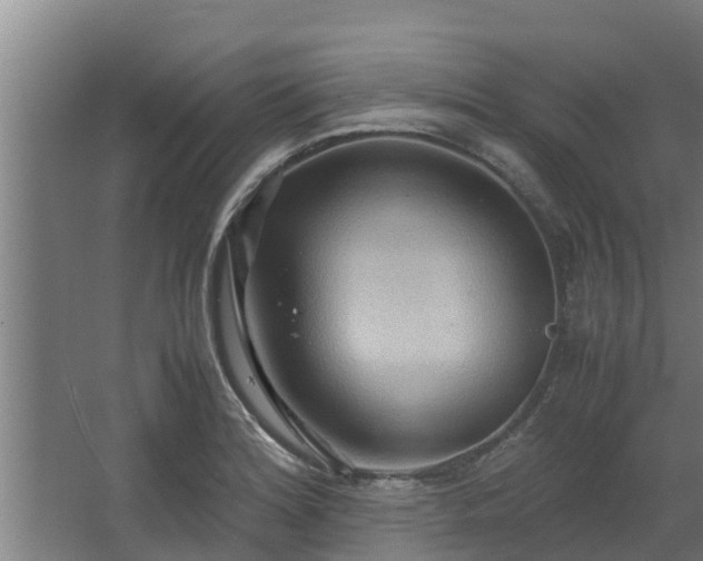 X0000064041180200602031550