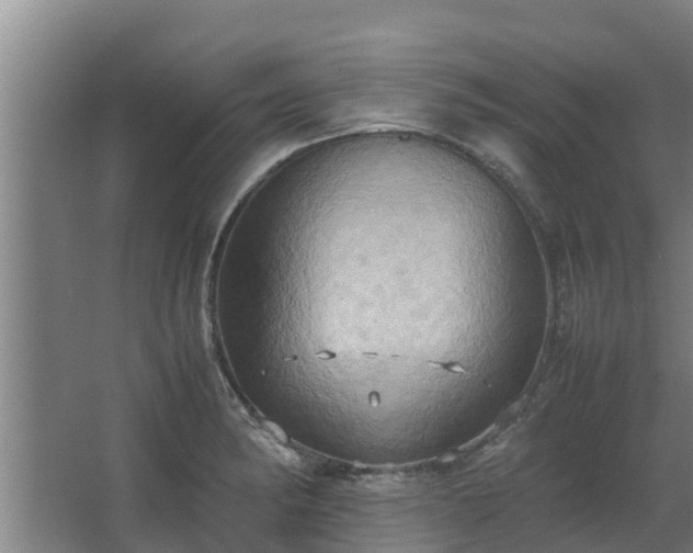 X0000064041182200602031550