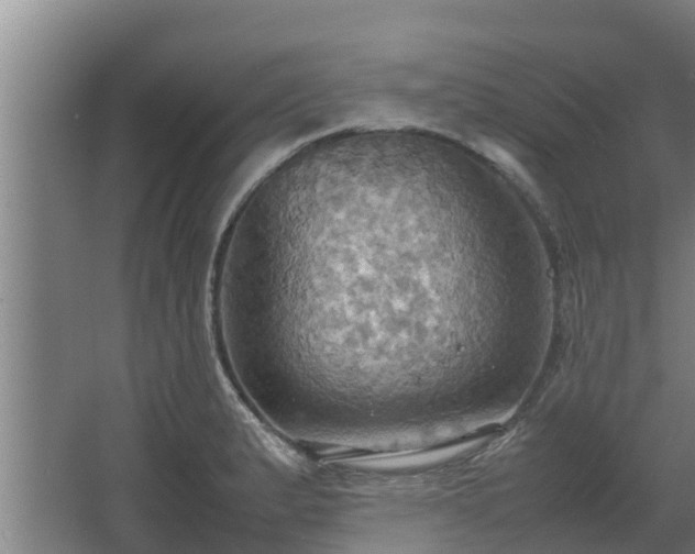 X0000064041183200602031550