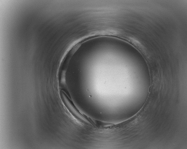 X0000064041184200602031550