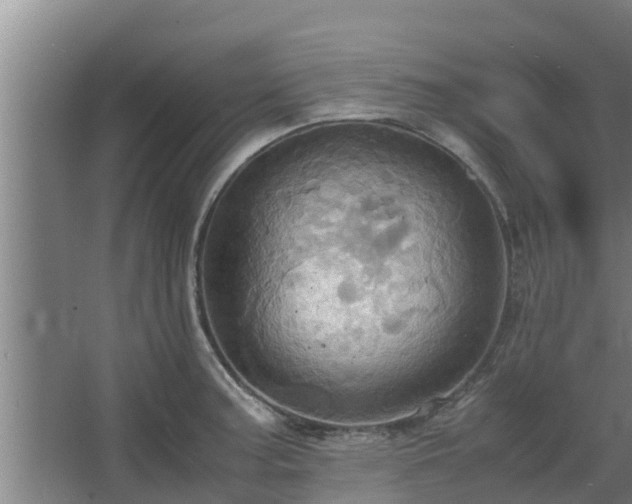 X0000064041187200602031549