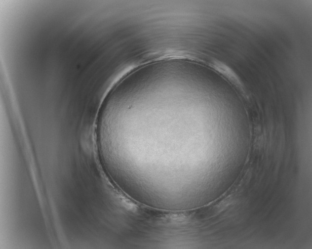 X0000064041190200602031549