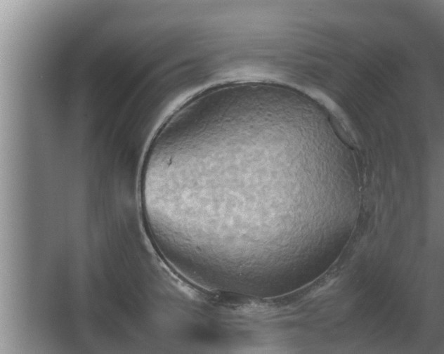 X0000064041191200602031549