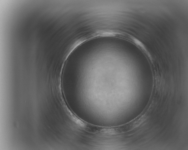 X0000064041194200602031549