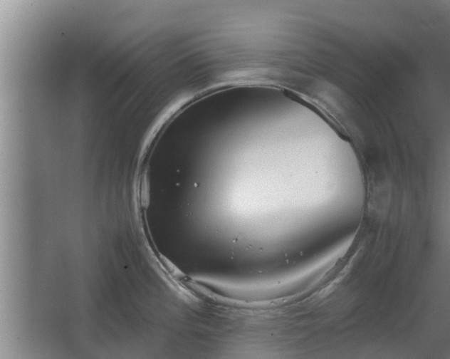 X0000064041196200602031549