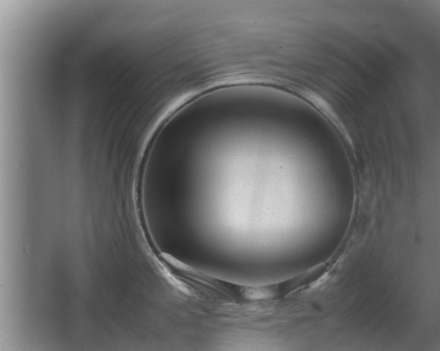 X0000064041197200602031549