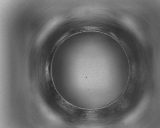 X0000064041198200602031549