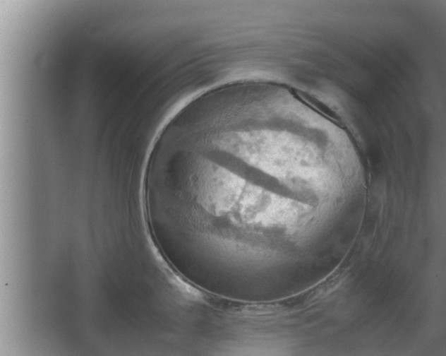 X0000064041199200602031549