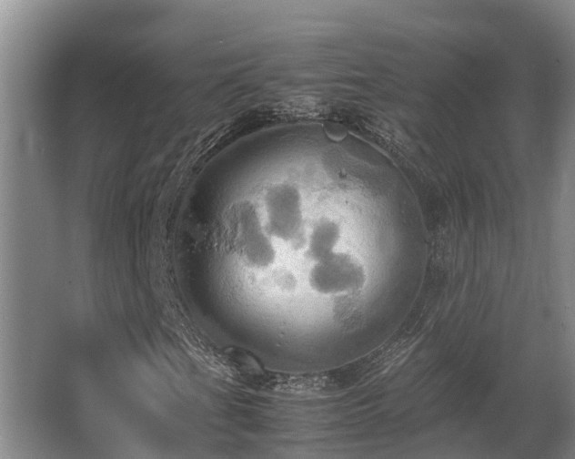 X0000064041201200602031548