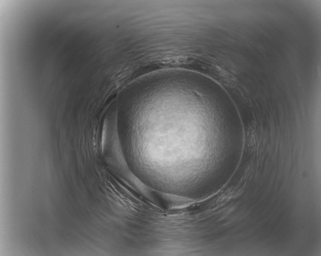 X0000064041202200602031548