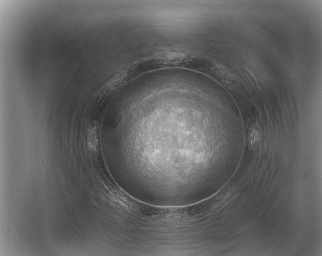 X0000064041204200602031548