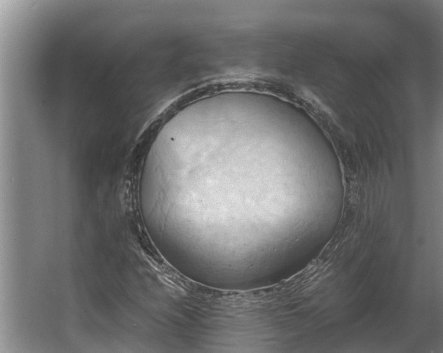 X0000064041208200602031549