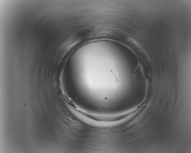 X0000064041210200602031549