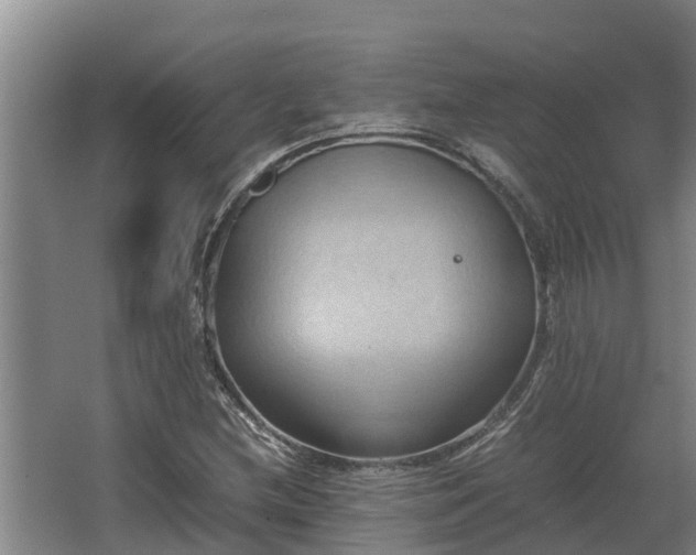 X0000064041212200602031549