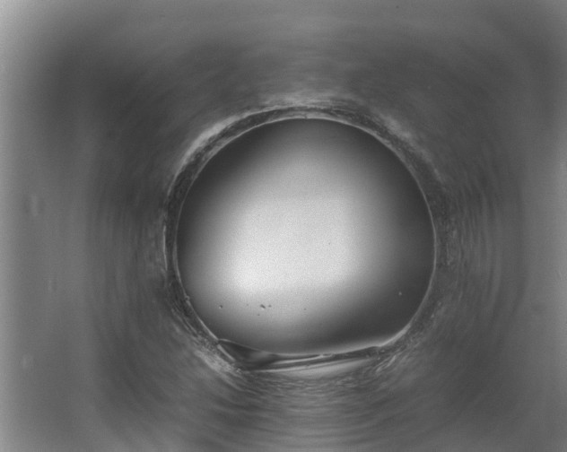 X0000064041214200602031549