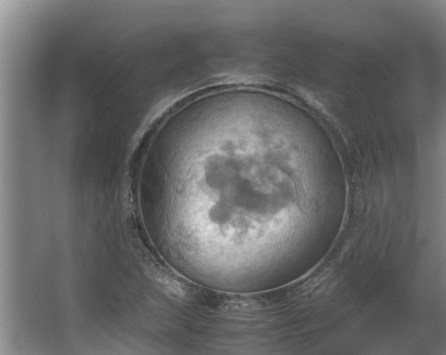 X0000064041215200602031549