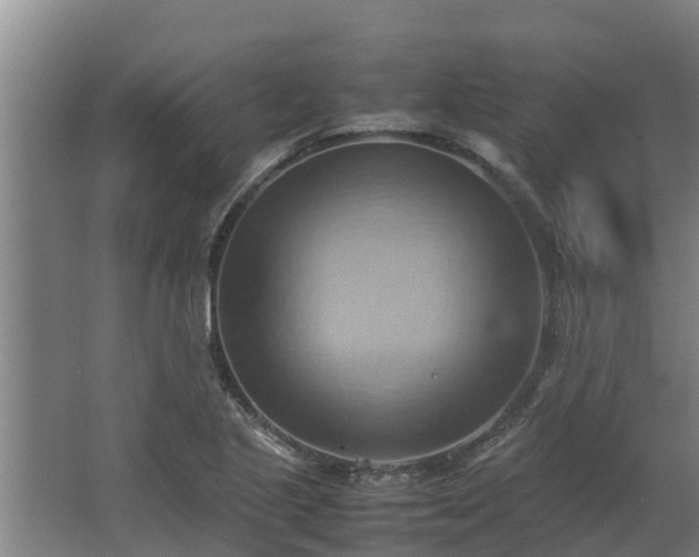 X0000064041221200602031549