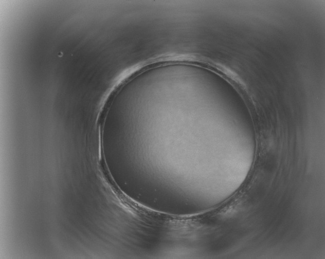 X0000064041223200602031549