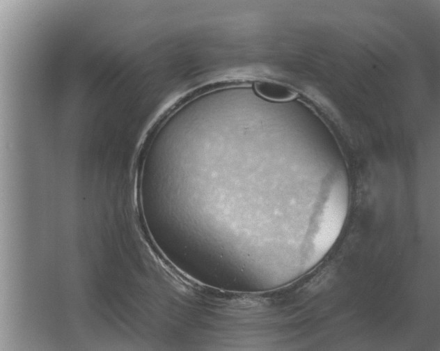 X0000064041224200602031549