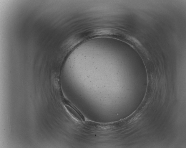 X0000064041225200602031549