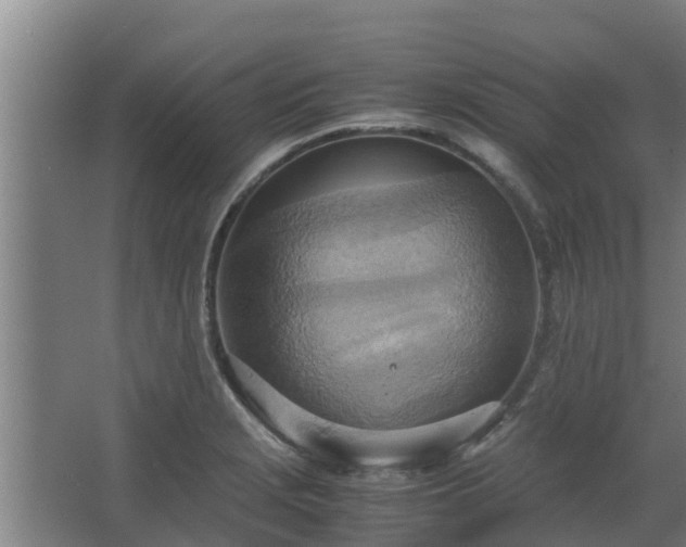 X0000064041229200602031549