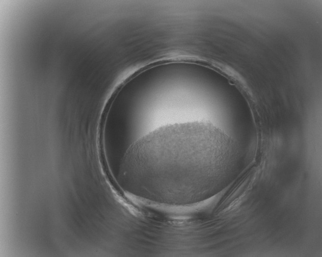 X0000064041231200602031549