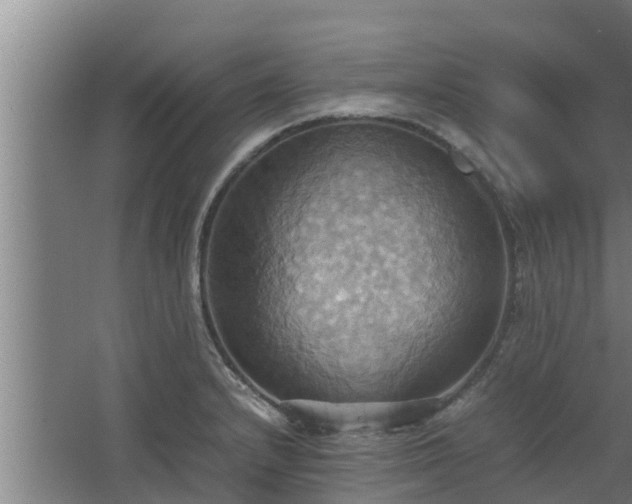 X0000064041232200602031549