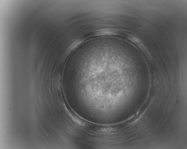 X0000064041233200602031549