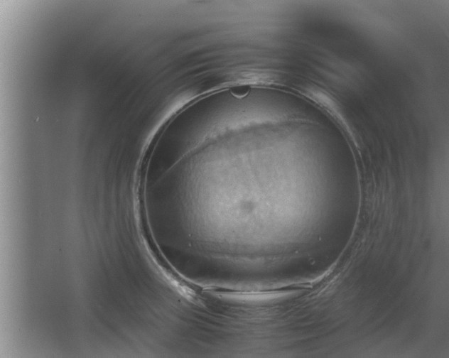 X0000064041235200602031549