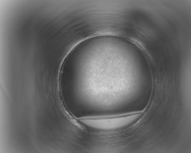 X0000064041236200602031549