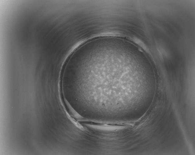 X0000064041237200602031549